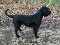 BIGNOLAIS PASCAL - STUDIO NOMADE