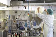 Albert LICTEVOUT - Albert Lictevout