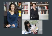 Didier PAZERY - pazery