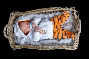 Vincent AIME - AIME VINCENT