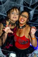 François-Dominique TORTORA - FDSALSERO