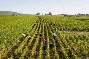 Yvan ARCHENAULT - Yvan ARCHENAULT Photographe