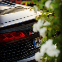 Nathan MORISSEAU - Morisseau